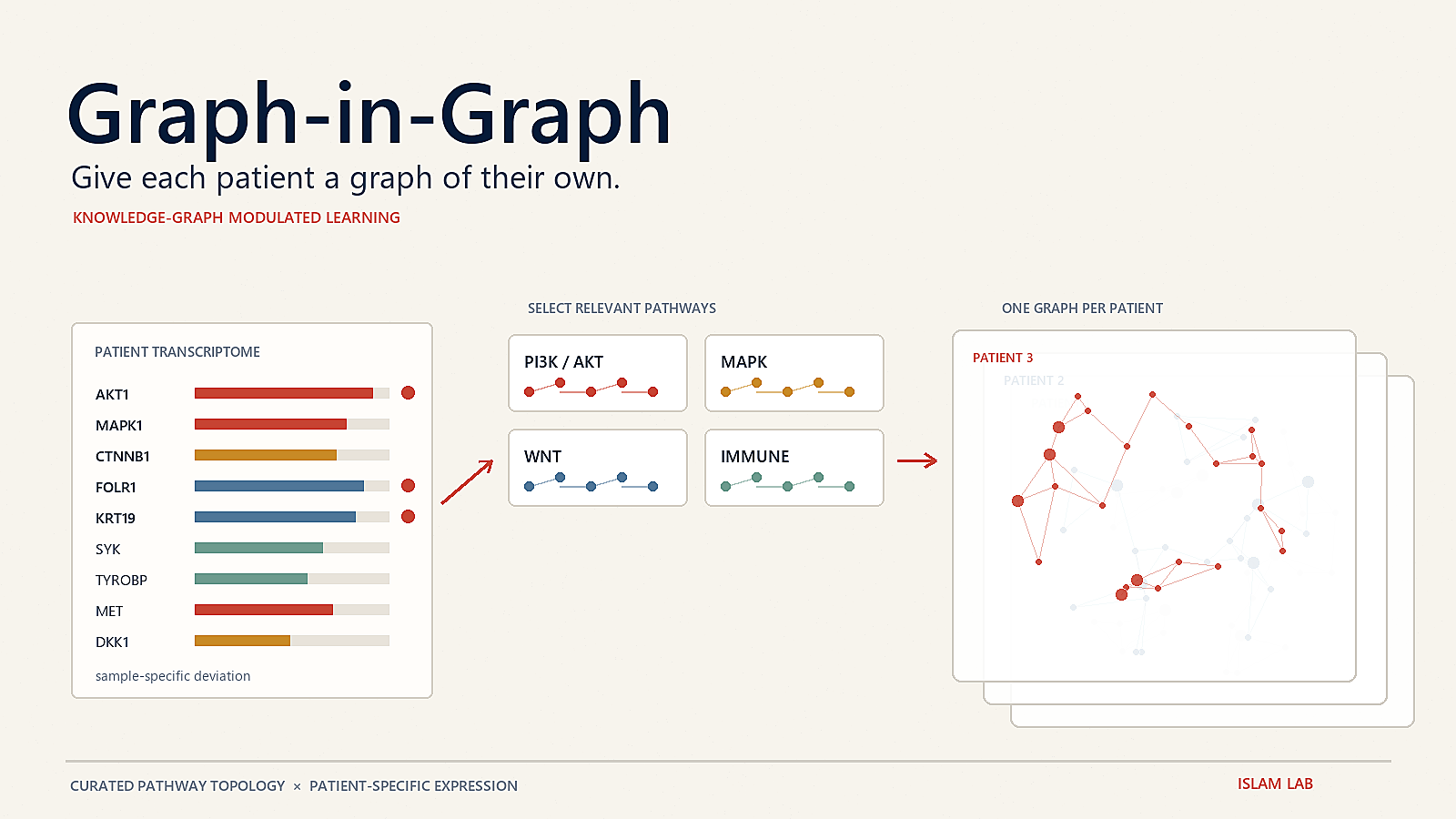 Graph-in-Graph project cover showing a patient transcriptome becoming a pathway-structured molecular graph.
