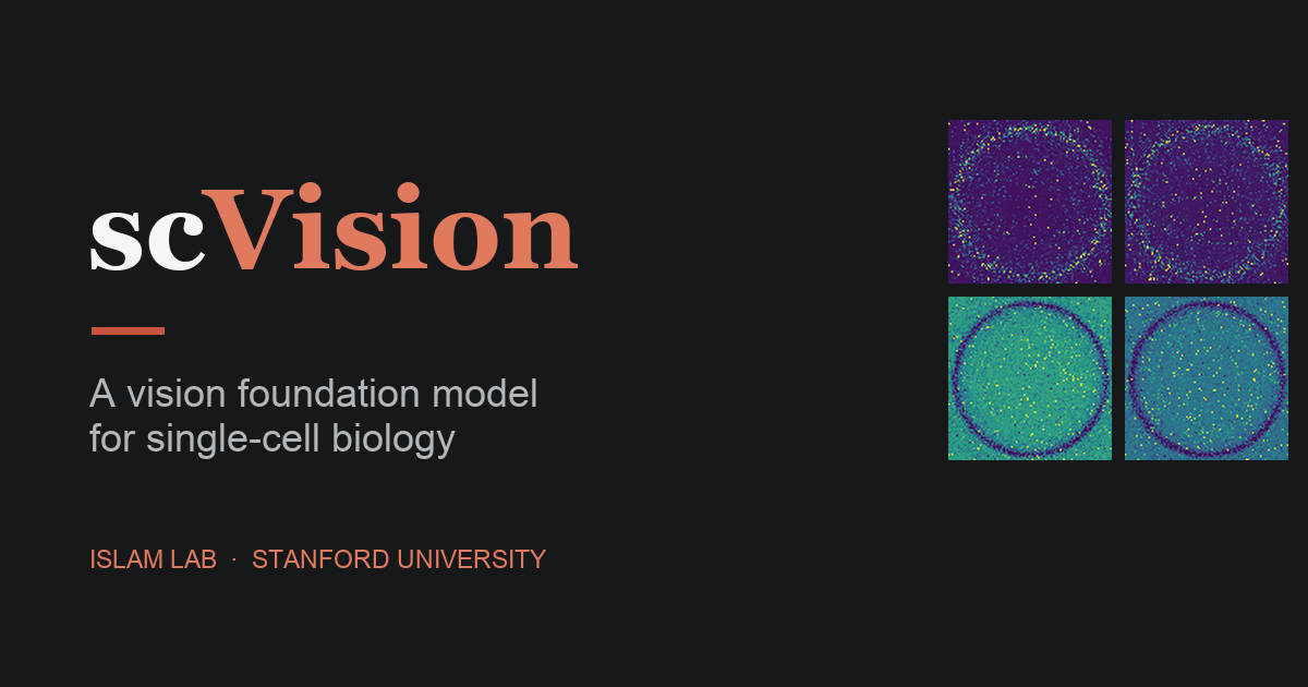scVision project cover.